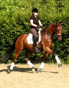 Lord Lennox is offered for sale through HW Farm