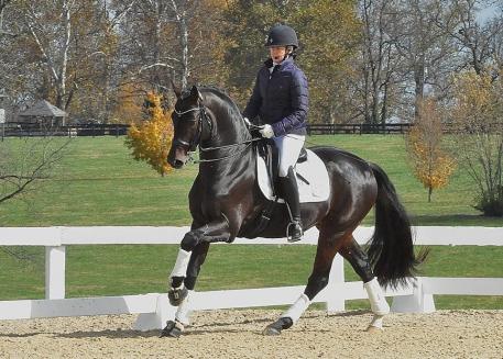 Rachael Hicks at the 2014 United States Dressage Finals in Lexington, Kentucky (Photo: courtesy of Caroline Roffman)