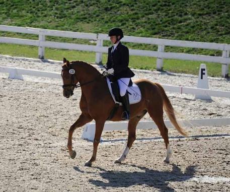 Kate Poulin riding Relentless Love owned by Carol Love. They are making their Fourth Level debut in 2015. (Photo: Liz Ritz Photography)