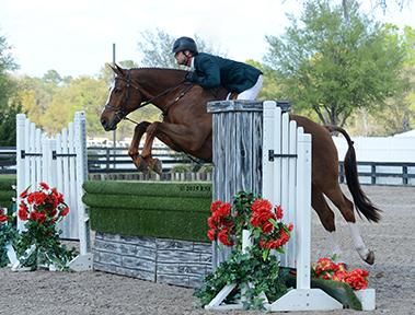Robert Lee and El Grecco, owned by Brook Run Farm, won the bi-coastal $50,000 East Meets West Hunter Challenge, a qualifier for the Diamond Mills $500,000 Hunter Prix Final in Saugerties this September. (c) ESI Photography