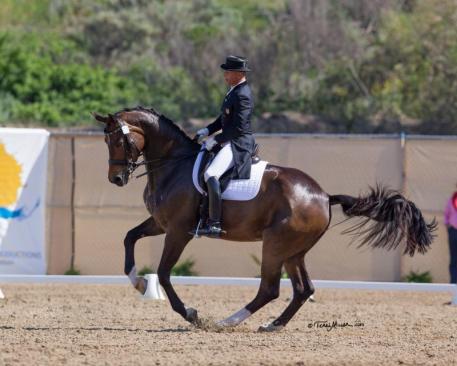Steffen Peters & Rosamunde win the Grand Prix Special at the Capistrano Dressage International CDI. (Photo: Terri Miller)