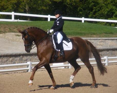 Rosie and Proteus. Photo by Mary Phelps