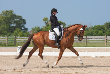 Young Rider Sarah Lipkowitz and her horse, Curry (Photo: Franke Photo Design, LLC.)
