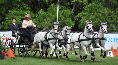 USEF National Four-in-Hand Pony champion Heather Schneider at 2015 Live Oak International (Photo:PicsofYou.com) 