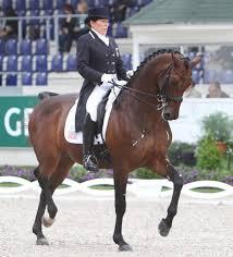 International Dressage Rider Shelly Francis