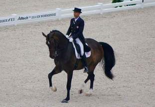 Bid on a lesson donated by Steffen Peters!