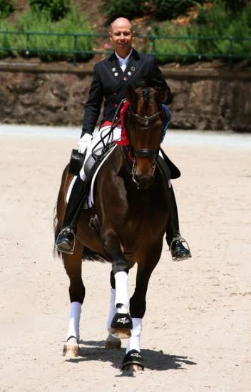 Custom Saddlery MVR,  Steffen Peters hopes to show just what the  Steffen Advantage means at the 2014 Alltech FEI World Equestrian Games.