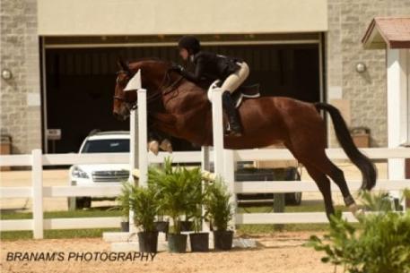 Main Street's Liberation and Taylor Masters win the Phelps Media Group SEMF Junior Medal. Photo: Bob Branam/Branam's Photography