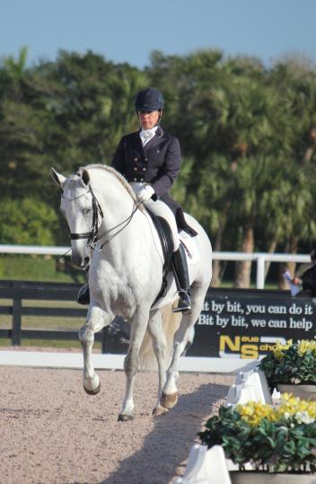 Baldor Interagro and Pia Aragão of Interagro Lusitanos earn first place in the FEI Prix St Georges