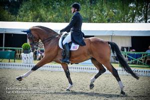 Brian Hafner riding Lombardo LHF (Peter Martin-Turner/ Spidge Photo for Shannon Brinkman Photo)