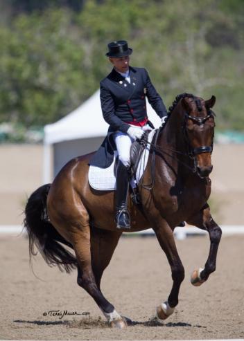 Steffen Peters guided Rosamunde to her first Grand Prix Freestyle win at the Festival of the Horse CDI. (Photo: Terri Miller)
