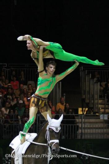 Vaulting at the 2015 World Equestrian Games (Photo: MA Brakenridge)