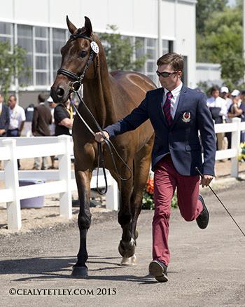 Waylon Roberts, 26, of Port Perry, ON, presents Bill Owen, owned in partnership with his mother, Canadian Olympian Kelly Plitz. (Photo © Cealy Tetley)