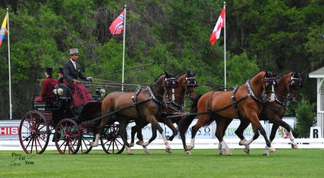 Chester Weber starts the 2015 Live Oak International competition off with a win in the FEI Four-in-Hand dressage phase, scoring 33.44 (Photo: PicsofYou.com) 