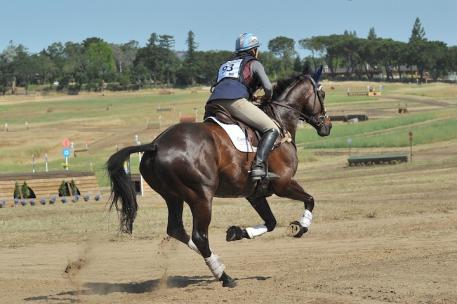 New Course Designer Ian Stark hopes to make the course more open and galloping by building jumps on previously unused areas of the Horse Park at Woodside. 
