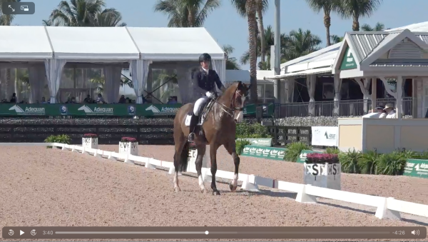 Tinne Vilhelmson-Silfvén