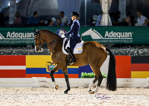Tinne Vilhelmsen-Silfven & Devanto. Photo © SusanJStickle.com