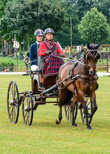 Dressage - Tracy Bowman with Jolie Wentworth and Lars 