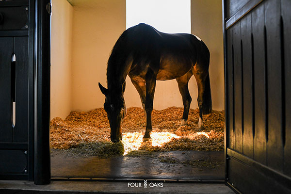 Haygain's ComfortStall