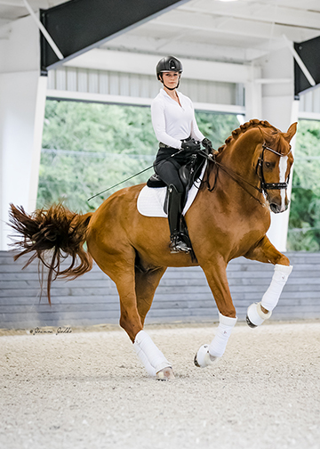 Zen Elite Equestrian Center’s Head Dressage Trainer, Kati Dagge riding  the Center’s newest Grand Prix horse, Sai Baba Plus. (Photo credit Joanna Jodko Photography)